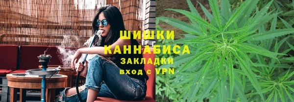 прущие крисы Инта