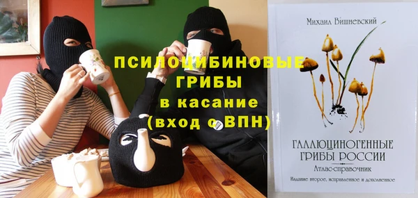 дмт Зерноград