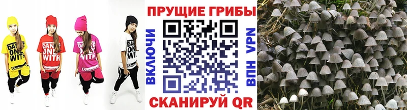 Купить Облучье Псилоцибиновые грибы ЛСД